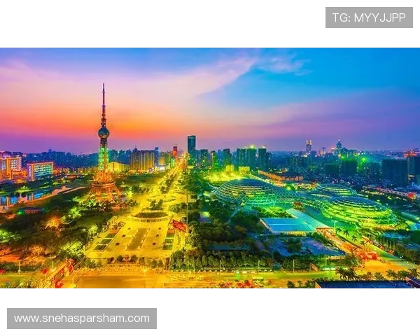 尼斯表现稳健，数据分析显示城市经济增长新趋势，未来发展潜力备受关注。