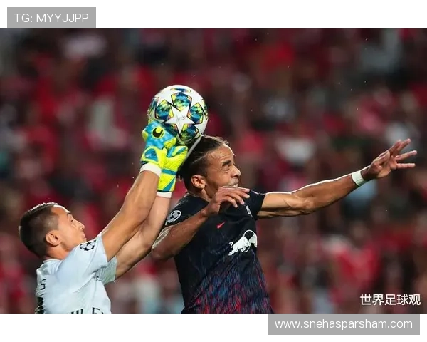 本菲卡近期比赛数据表现稳健，攻防效率持续提升